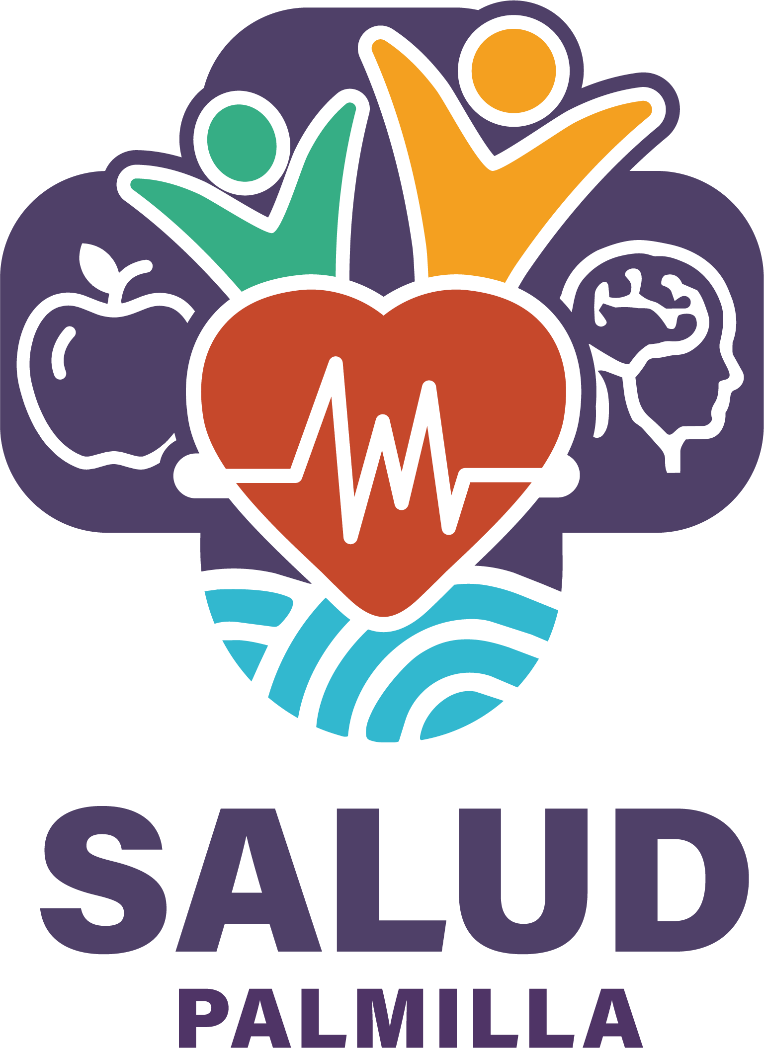 Logo Departamento de Salud Palmilla